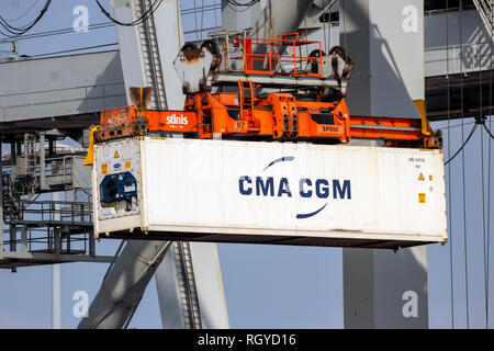 ROTTERDAM - Mar 16, 2016: Kranfahrer Entladen ein Kühlcontainer aus einer Ladung im Hafen von Rotterdam. Stockfoto