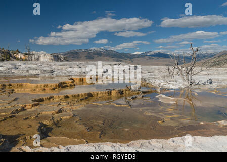 Gold und weißen Terrassen sind durch Schnee gesichert, schneebedeckten Berge an einem sonnigen Tag in Mammoth Hot Springs in den USA Yellowstone National Park. Stockfoto