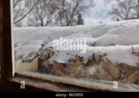 Aussicht vom Fenster des Schnees auf Büsche und Bäume im Hintergrund Stockfoto