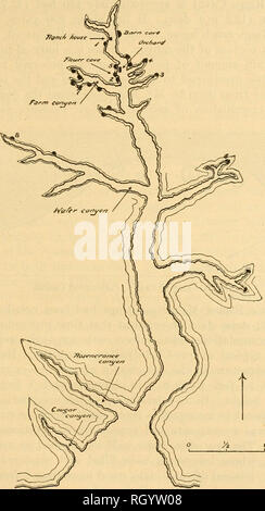 . Bulletin. Ethnologie. judd] ARCHÄOLOGISCHE OBSEEVATIONS 91, 15 Höhlen wurden während der zwei Wochen, die fol-folgten besucht. Die relativen Positionen dieser, einer auf der anderen, wird durch die rauhen Feld Karte angegeben. Abbildung 24. Cottonwood Canyon war eng mit der Settle-ment des südwestlichen Utah verbunden. Durch seine verwinkelten Kurs ox-Teams. Abb., 24,- Skizze Karte von Cottonwood Canyon, mit der Position der Höhlen besucht geschleppt, viel des Bauholzes in Bau der Tempel der Mormonen in St. George verwendet. Kolonisten durch Cottonwood ca. 1870, aus einem alten Standort auf Gebunden Stockfoto