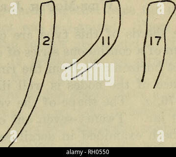 . Bulletin. Ethnologie. Abbildung 14. Abbildung 16. Bitte beachten Sie, dass diese Bilder sind von der gescannten Seite Bilder, die digital für die Lesbarkeit verbessert haben mögen - Färbung und Aussehen dieser Abbildungen können nicht perfekt dem Original ähneln. extrahiert. Smithsonian Institution. Büro der amerikanischen Ethnologie. Washington: G. S. O. Stockfoto