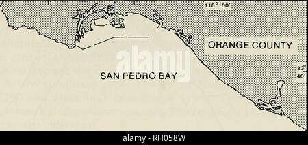 . Bulletin. Wissenschaft; Naturgeschichte; Natural History. Kryptische FISCHE VON CATALINA Island 57 ORANGE COUNTY I. Bitte beachten Sie, dass diese Bilder sind von der gescannten Seite Bilder, die digital für die Lesbarkeit verbessert haben mögen - Färbung und Aussehen dieser Abbildungen können nicht perfekt dem Original ähneln. extrahiert. Südkalifornien Akademie der Wissenschaften. Los Angeles, Calif.: Die Akademie Stockfoto