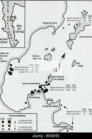 . Bulletin. Wissenschaft. Ernährungsgewohnheiten an GESPRENKELTEN SAND BASS PAZIFISCHEN OZEAN Isla Coronado Pueblo de Bah fa de Los Angeles. Stationen Angeln 1992 1994 trugen die meisten ich Stichprobe insgesamt beigetragen habe ich Gesamt 1992 1994 Tiefe gefischt (m) 10-27 NA Aufwand (Std.) 21 NA Abb. 1. Studie im Bahia de Los Angeles Übersicht Standorte der Fische fangen und deren Gruppierung durch große geographische Merkmale. Symbole zeigen an, wo die Fische gefangen genommen wurden und die Größe des Symbols zeigt an Beitrag von Fisch gefangen, an der Gesamtzahl der Fische gefangen. Kreise beziehen sich auf Seiten im Herbst 1992 und die Wappen der Stichprobe Stockfoto