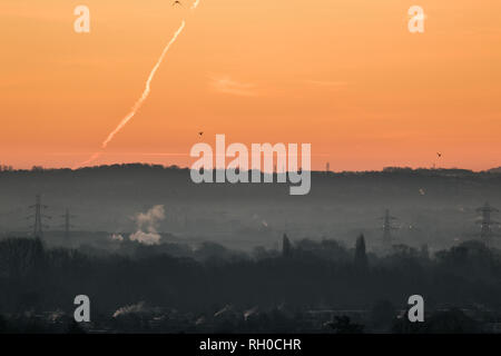 London, Großbritannien. 31 Jan, 2019. Eine Bunte sunrise in Wimbledon auf einem eiskalten Morgen, da die Temperaturen in vielen Teil des britischen Stürzen mit schweren gelben Warnungen, die durch die Met Office Gutschrift ausgestellt: Amer ghazzal/Alamy leben Nachrichten Stockfoto