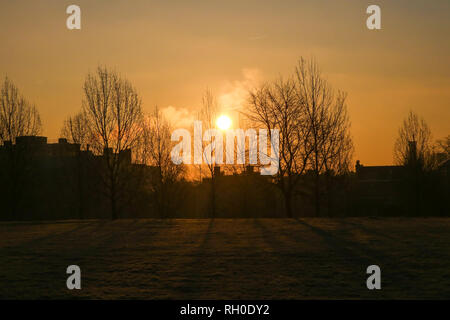 Finsbury Park, London, UK. 31 Jan, 2019. UK Wetter: Golden sunrise in Finsbury Park, nördlich von London, nach der kältesten Nacht dieses Winters. Credit: Dinendra Haria/Alamy leben Nachrichten Stockfoto