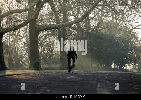 Finsbury Park, London, UK. 31 Jan, 2019. UK Wetter: ein Radfahrer bei Sonnenaufgang in Finsbury Park, nördlich von London, nach der kältesten Nacht dieses Winters. Credit: Dinendra Haria/Alamy leben Nachrichten Stockfoto