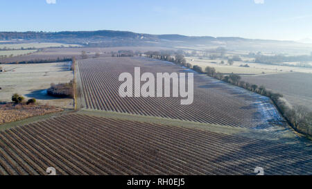 Aylesford, Kent. 31. Januar 2019. UK Wetter: Eisige Temperaturen und niedrigen Morgen Sonne warf lange Schatten über Frost Weinberge und Nebel steigt über die Felder abgedeckt. Von drone Schoß, CAA PfCO lizenzierten Piloten. Quelle: Matthew Richardson/Alamy leben Nachrichten Stockfoto