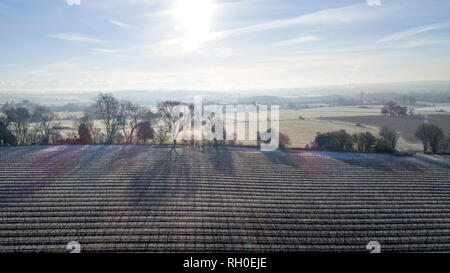 Aylesford, Kent. 31. Januar 2019. UK Wetter: Eisige Temperaturen und niedrigen Morgen Sonne warf lange Schatten über Frost bedeckt Weinbergen und Nebel steigt über die Felder. Von drone Schoß, CAA PfCO lizenzierten Piloten. Quelle: Matthew Richardson/Alamy leben Nachrichten Stockfoto