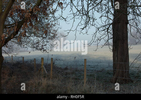 London, Großbritannien. 31. Januar 2019. UK Wetter: Feld und Bäume auf einem eisigen und kalten Morgen bei Sonnenaufgang, in Mill Hill, London, UK. Credit: Joe Kuis/Alamy leben Nachrichten Stockfoto