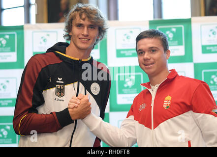 31 Januar 2019, Hessen, Frankfurt/Main: Die beiden tennisspieler Alexander Zverev (Deutschland, l) und Peter Nagy (Ungarn) schütteln sich die Hände nach der Auslosung der ersten Runde des Davis Cup Match zwischen Deutschland und Ungarn im Kaisersaal des Römers. Die beiden Teams werden an der Fraport Arena treffen am 1. Februar und 2. Foto: Arne Dedert/dpa Stockfoto