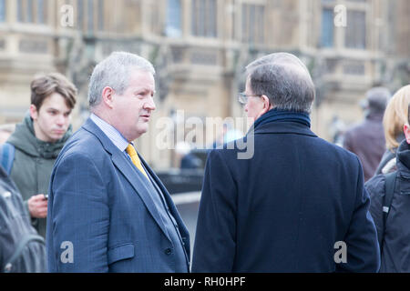 London, Vereinigtes Königreich. 31. Januar, 2019. Ian Blackford Mitglied des Parlaments für Ross, Skye und Lochaber Spaziergänge außerhalb der Häuser des Parlaments. Credit: George Cracknell Wright/Alamy leben Nachrichten Stockfoto