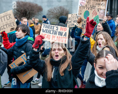 Brüssel, Brabant, Belgien. 31 Jan, 2019. Belgischen Studenten werden gesehen, Plakate und Parolen schreien während der Demonstration. im vierten aufeinander folgenden Donnerstag, Tausende Belgier Studenten der Schule übersprungen für eine bessere Klimapolitik in den Straßen von Brüssel zu demonstrieren. Der Protest wurde durch eine 17-jährige Anuna De Wever, eine Studentin, die Pläne für die Klimapolitik zu demonstrieren und gegen die nachlässige Umweltpolitik der Politiker organisiert. Credit: Ana Fernandez/SOPA Images/ZUMA Draht/Alamy leben Nachrichten Stockfoto