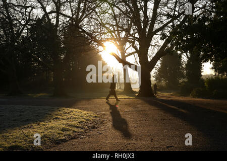 London, Großbritannien. 31 Jan, 2019. Ein Mann gesehen wird Wandern in Finsbury Park, North London während einer golden Sunrise nach der kältesten Nacht dieses Winters. Credit: Dinendra Haria/SOPA Images/ZUMA Draht/Alamy leben Nachrichten Stockfoto