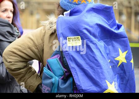 London, Großbritannien. 31. Jan 2019. Anti-Brexit Mitkämpfer weiterhin ihren Protest außerhalb der Häuser des Parlaments. Andrea Leadsom, Führer des Unterhauses hat MPs ihrer Februar Hälfte langfristige Aussparung wird abgebrochen, so dass das Parlament durch Brexit Rechtsvorschriften arbeiten können. Credit: Claire Doherty/Alamy leben Nachrichten Stockfoto