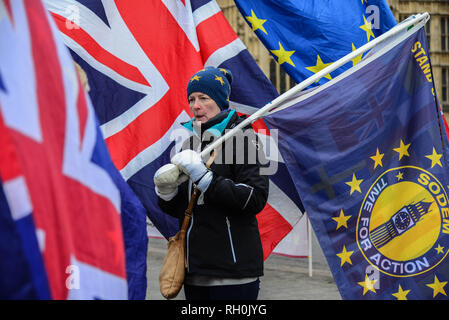 London, Großbritannien. 31. Jan 2019. Anti-Brexit Mitkämpfer weiterhin ihren Protest außerhalb der Häuser des Parlaments. Andrea Leadsom, Führer des Unterhauses hat MPs ihrer Februar Hälfte langfristige Aussparung wird abgebrochen, so dass das Parlament durch Brexit Rechtsvorschriften arbeiten können. Credit: Claire Doherty/Alamy leben Nachrichten Stockfoto
