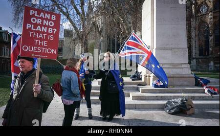 London, Großbritannien. 30 Jan, 2019. Anti-Brexit Mitkämpfer gesehen mit einem Plakat und Flaggen während des Protestes.Anti-Brexit Mitkämpfer Protest außerhalb der Häuser des Parlaments als Theresa May erfüllt die Staats- und Regierungschefs der EU am 13. Februar, wenn es keinen Deal ist, der britische Premierminister wird eine geändert werden Motion für die Debatte am 14. Februar beginnen mit der Diskussion weiter mit der brexit zu bewegen. Credit: Ioannis Alexopoulos/SOPA Images/ZUMA Draht/Alamy leben Nachrichten Stockfoto