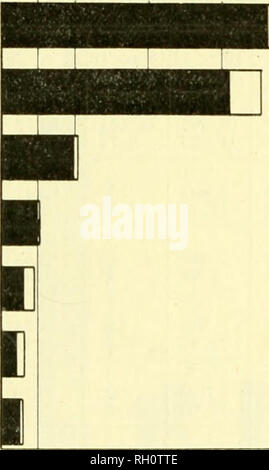 . Bulletin. Landwirtschaft - New Hampshire. Juli, 1926] Apple Industrie in Nkw Hampshire 17 Prozent der Füllstoffe unter fhe Obstbäumen und zwischen 18 und 19 Prozent in den Nicht-Lager. Wenn jedoch die Mcintosh, werden aus dieser Berechnung weggelassen, finden wir, dass die anderen Fallen Sorten weisen 20 Prozent der Füllstoffe in das Lager Gruppe und nearh - 37 Prozent im Nicht-Lager. Von vorhanden Angaben Erweiterung der Mcintosh vseem industiy Würde voll gerechtfertigt. Die Pflanzungen werden ohne Zweifel bieten mehr Frucht als die Neu-england Märkte absorbiert. Allerdings ist die Mcintosh ist nicht successf gewachsen Stockfoto