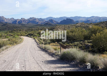 Ein Feldweg führt durch die Wüste von Arizona. Stockfoto