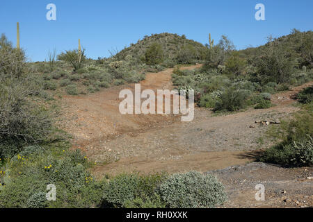 Einen Blick auf eine unbefestigte Straße, die durch die Wüste von Arizona. Stockfoto