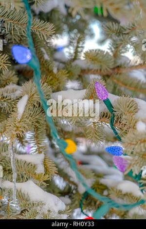 Bunte Weihnachtslichter auf schneebedeckter Baum Stockfoto
