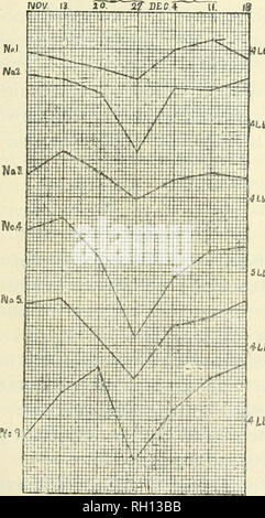 . Bulletin. Landwirtschaft Landwirtschaft - Arizona. Arizona landwirtschaftliche Experiment Station. 331 Line, mit dem Preis der Butter Fett an der Molkereien für jeden Monat. Hier ist der große Vorteil von winter Molkereiwesen und die Bedeutung des Habens der Kühe von ihrer besten Seite, während der Teil des Jahres, wenn die Preise sind stets höchsten dargestellt. - 4 LM FÜTTERUNG ZUCKERRÜBEN. Ein paar Zuckerrüben an Hand, als Ergebnis der Experimente in ihnen wachsen für die Zuckererzeugung, gab Gelegenheit zu versuchen - ing sie als Futtermittel für Kühe. Es war geplant, Rüben zu drei der Kühe auf der Weide zu füttern für zwei Wochen, zu den anderen thr Stockfoto