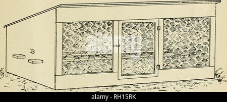 . Bulletin. Landwirtschaft - - Ontario. 21 Die Küken werden von der aufzuchtapparate an FRUM 6 bis 8 Wochen, je nach Wetterlage. Eine kleine Coop (Abb. 11.) ist vor dem Brutapparat eingestellt, so dass die Hühner nicht in den Brutapparat erhalten en-trance, so dass Sie in die coop A. nach einem Tag oder zwei erhalten Sie ihre brutapparat nehmen, und die Coop kann dann täglich frischen Boden verschoben werden. Dies hält Coop reinigen. Wenn die Küken zu groß für die Coop ein, der in etwa zehn Wochen, so werden in Coop B. (Abb.. 12.) Der gleiche Prozess wird durch gegangen. Abb. 12. Coop B.-Länge, Stockfoto