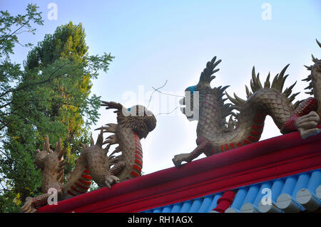 Chinesische Drachen, Statuen von Ronin und Brunnen bei Sonnenuntergang Russland Stockfoto