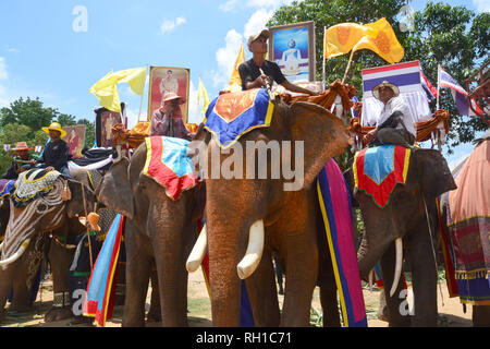 SURIN, THAILAND, 9. Mai 2017: Ordination Parade auf Elephantâ € ™ s Zurück Festival ist, wenn Elefanten Parade und Novizen auf ihrem Rücken tragen. Dieser ev Stockfoto