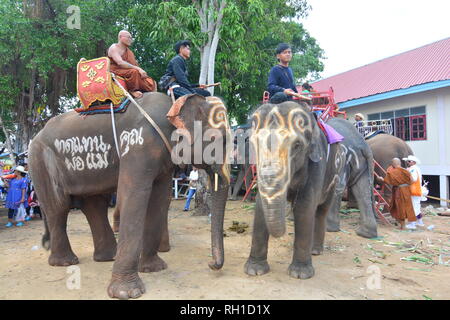SURIN, THAILAND, 9. Mai 2017: Ordination Parade auf Elephantâ € ™ s Zurück Festival ist, wenn Elefanten Parade und Novizen auf ihrem Rücken tragen. Dieser ev Stockfoto