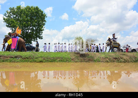 SURIN, THAILAND, 9. Mai 2017: Ordination Parade auf Elephantâ € ™ s Zurück Festival ist, wenn Elefanten Parade und Novizen auf ihrem Rücken tragen. Dieser ev Stockfoto