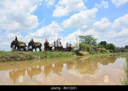 SURIN, THAILAND, 9. Mai 2017: Ordination Parade auf Elephantâ € ™ s Zurück Festival ist, wenn Elefanten Parade und Novizen auf ihrem Rücken tragen. Dieser ev Stockfoto