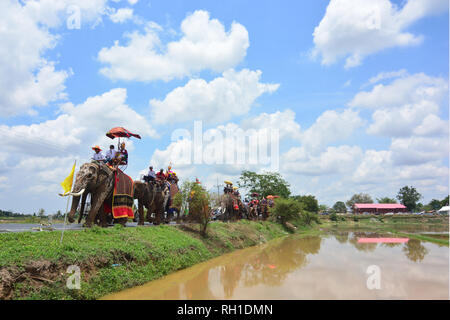 SURIN, THAILAND, 9. Mai 2017: Ordination Parade auf Elephantâ € ™ s Zurück Festival ist, wenn Elefanten Parade und Novizen auf ihrem Rücken tragen. Dieser ev Stockfoto