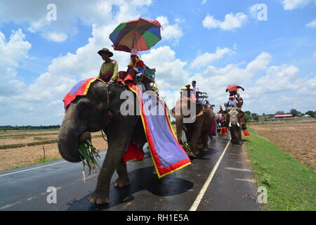 SURIN, THAILAND, 9. Mai 2017: Ordination Parade auf Elephantâ € ™ s Zurück Festival ist, wenn Elefanten Parade und Novizen auf ihrem Rücken tragen. Dieser ev Stockfoto