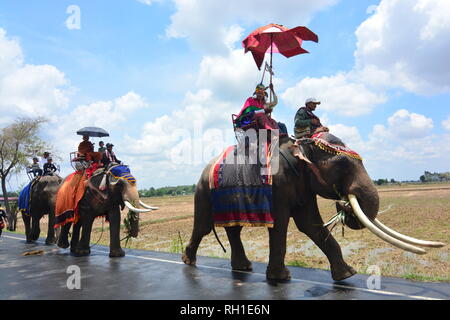 SURIN, THAILAND, 9. Mai 2017: Ordination Parade auf Elephantâ € ™ s Zurück Festival ist, wenn Elefanten Parade und Novizen auf ihrem Rücken tragen. Dieser ev Stockfoto