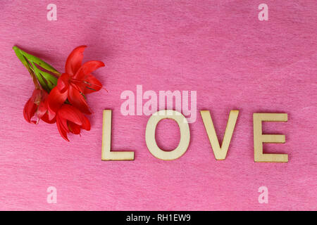 Rote Blumen und Liebe in Holz- Buchstaben für den Valentinstag geschrieben Stockfoto