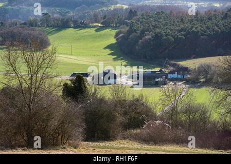 Blick auf die Surrey Hills von Newlands Ecke auf einem sonnigen winterlichen Nachmittag. Stockfoto