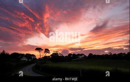 Sonnenuntergang über country lane und Bäume, mit herrlichem firey Himmel und Wolkenformationen in Cornwall, Großbritannien Stockfoto