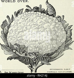 . Blumenzwiebeln, Pflanzen, Samen für den Herbst Pflanzung: 1899. Gartengeräte und Zubehör Kataloge; Samen Kataloge, Leuchtmittel (Pflanzen) Kataloge Kataloge; Blumen; Blüten Samen Kataloge. J? Zu jedem Post oder Bahn Express Büro in den VEREINIGTEN STAATEN, zu den Preisen, die in diesem Katalog angegebenen, alle Lampen, Gemüse- UND === Blumen in Form von Saatgut, - - - SOFERN NICHT ANDERS ANGEGEBEN. HENDERSON'S PALMETTO SPARGEL WURZELN (Bereit im November für den Süden, und im März und April für den Norden.) Frühe, große, sanft, lecker. Den besten Spargel angebaut. Die Palmetto ist nicht nur früher, sondern auch eine bessere Erträge, und ich Stockfoto