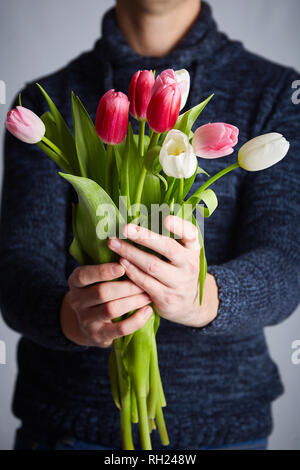 Männliche holding Bündel Tulpen. Bunte Tulpen in die Hände des Menschen. Studio Light. Soft Focus. Frühling Blumen, rosa, weiß und Tulpen in den Händen. Stockfoto
