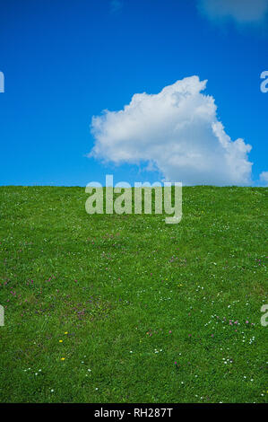 Blick auf dem Deich in Norddeutschland an der Nordseeküste (Ostfriesland Region) Stockfoto