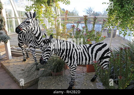 Große Ziegel Safari 2019, Zebras aus Lego, RHS Garden Wisley, Woking, Surrey, England, Großbritannien, USA, UK, Europa Stockfoto