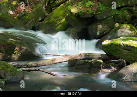 Kleiner Bach unter den Felsen. schöne Natur Landschaft im Frühjahr. Moos auf Steinen. Trunk über den Fluss auf den Stein Stockfoto