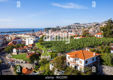 Blick über die Dächer von Funchal und den Hafen von der Seilbahn zum Monte Madeira Portugal eu Europa Stockfoto