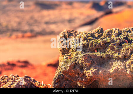 In der Nähe von vulkanischen Felsen mit unscharfen rote Wüste Hintergrund in Lanzarote Stockfoto