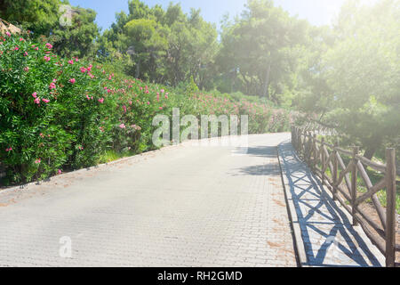 Fliesen- Straße mit hölzernen Zaun auf der rechten Seite und grüne Büsche mit lila Blüten auf der linken Seite. Stockfoto