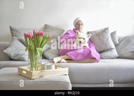 Frühling Tulpen auf Fach und Frau auf Hintergrund im Bademantel mit einem Hund Stockfoto