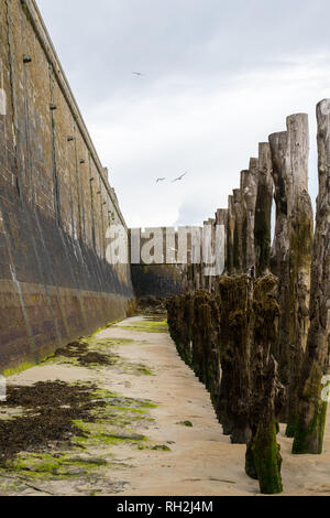 Wand- und Baumstämme am Strand von Saint Malo (Bretagne, Frankreich) bei Flut an einem bewölkten Tag im Sommer Stockfoto