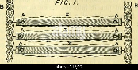 . Britische bee Journal &Amp; Imker Berater. Bienen. September 1, 1876.] DIE BRITISCHE BEE JOURNAL. 81 In der Mitte des runden Raumes, etwa zwanzig Fuß im Durchmesser stand ein Quadrat Biene-Haus, von allen vier Seiten von denen Bienen Ausstellung in großen Zahlen waren. "Tun Sie das Finden, praktisch, macht es keinen Unterschied, welchen Weg die Bienenstöcke Gesicht?" erkundigte ich mich. "Nicht die geringste', war die Antwort. Nicht weit von diesem Zentrum Haus Die bemerkenswerteste Sache in die ganze Bienenhaus stand, nämlich ein Skelett Hive, in denen waren zwölf große Bar-Frames und einem Bestand von Bienen, die wurden dann, und hatte, eifrig an Stockfoto