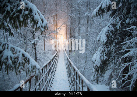 Im verschneiten Winterwald hängt eine Seilbrücke. Am Ende des Weges eine Lampe leuchtet auf. Verschneite Tannen säumen den Weg. Brücke von den Rothaarsteig in Stockfoto