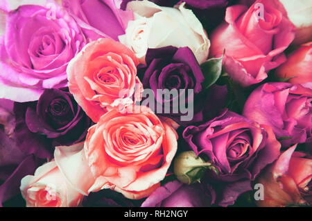Rosa, weiße und gelbe Rosen Hintergrund. Stockfoto